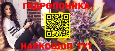 МДПВ Кимры