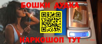 скорость Кингисепп
