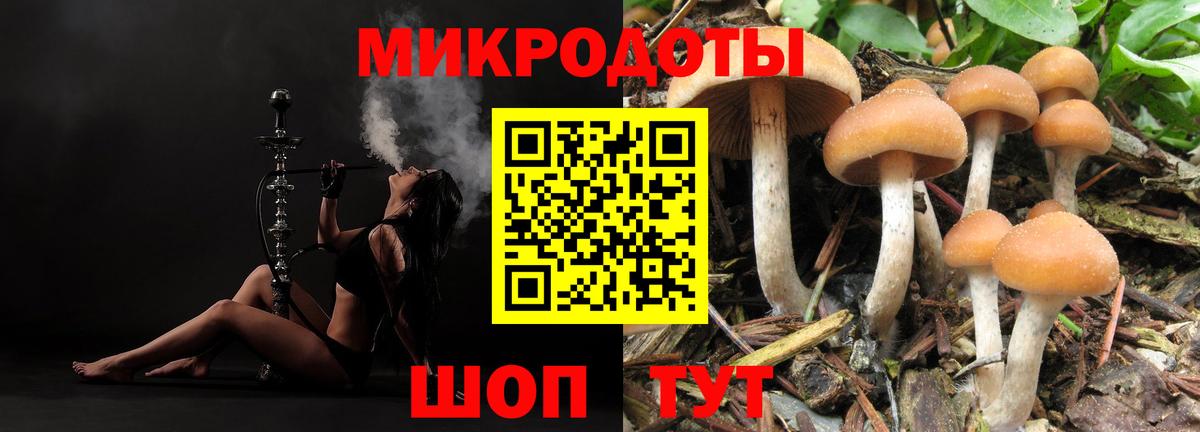 Галлюциногенные грибы мухоморы  Вход с VPN  Южноуральск 
